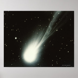 Póster Halleys Comet