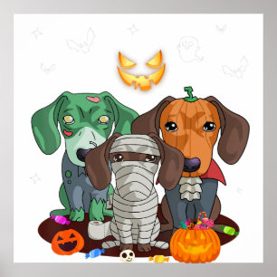 Póster Halloween Dachshund Perro Bruja dulce regalo Dachs