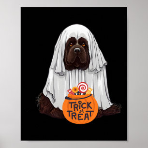 Póster Halloween de perros de Terranova Cute Brown