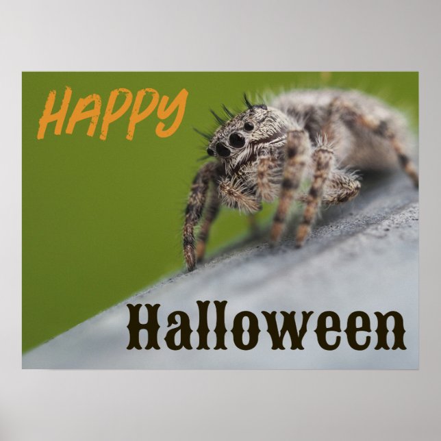 Póster Halloween de Spider Spooky (Frente)