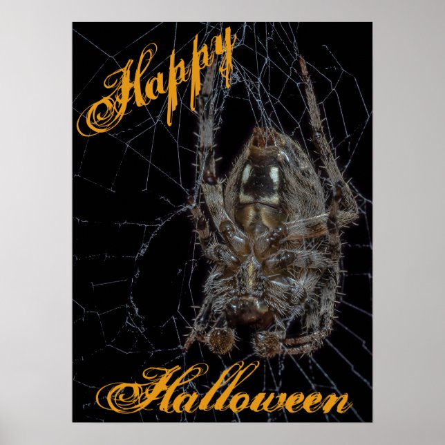 Póster Halloween de Spider Spooky (Frente)