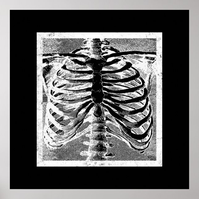 Póster Halloween del cuerpo de Torso de los huesos del es (Frente)