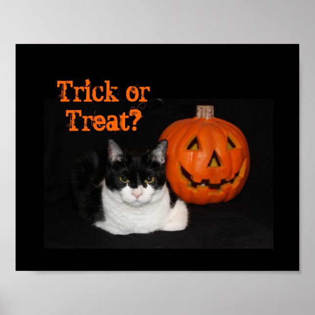 Póster Halloween Kitty Poster (Frente)