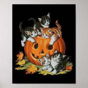 Póster Halloween Retro Mujeres retro de calabaza gata de