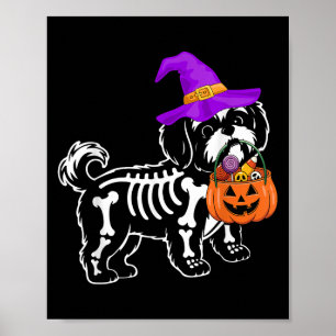 Póster Halloween Soky Skeleton Trick O Trea Shih Tzu Dog 