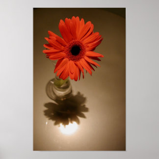 Póster Halo & Silhouette Daisy