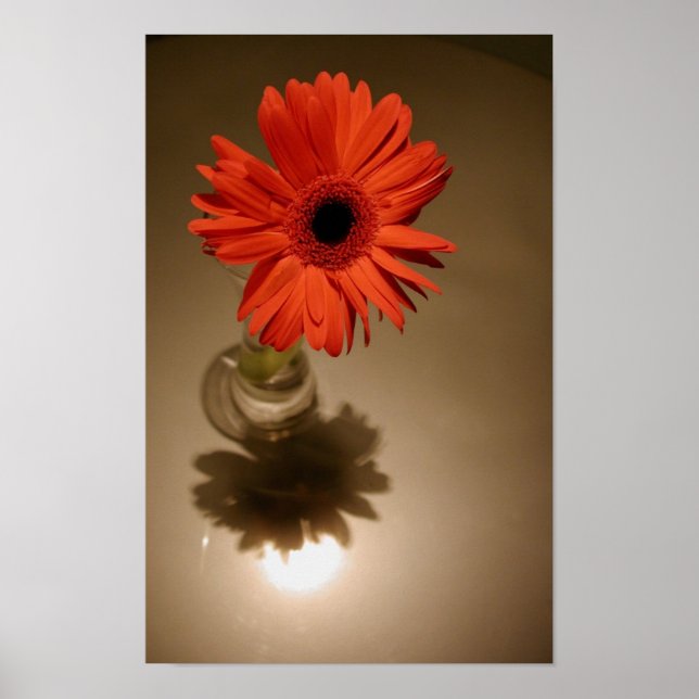 Póster Halo & Silhouette Daisy (Frente)