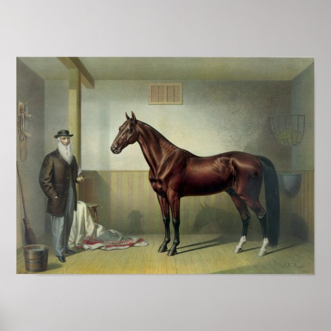 Póster Hambletonian de Rysdyk - 1876 (Frente)