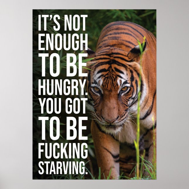 Póster Hambre contra hambre, tigre, éxito (Frente)
