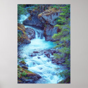 Póster Hamma Hamma Creek