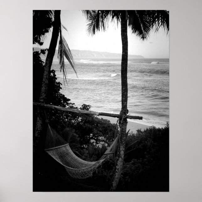 Póster Hammock Overlooking the North Shore (Frente)