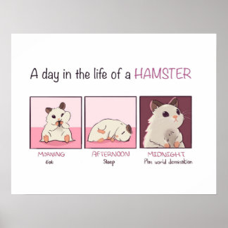 Póster Hamster Life