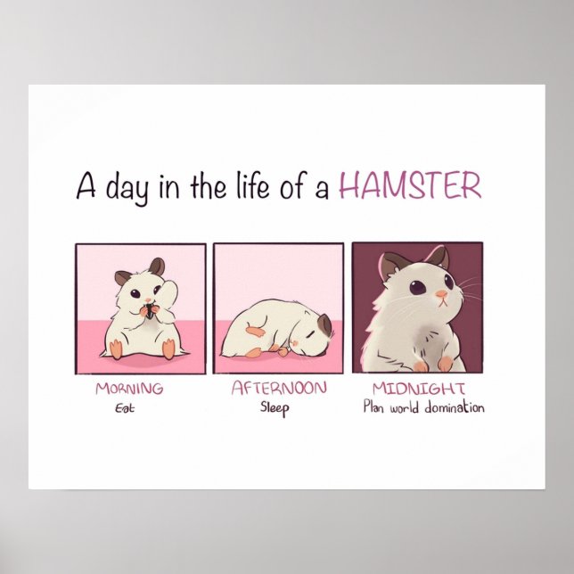 Póster Hamster Life (Frente)
