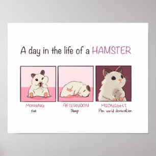 Póster Hamster Life