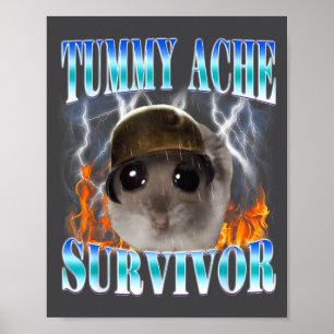 Póster Hámster Superviviente de Dolor de Barriga Meme Dic
