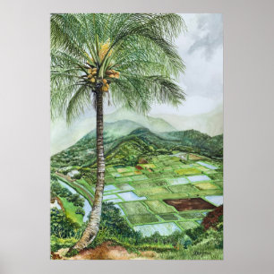 Póster Hanalei Valley Lookout
