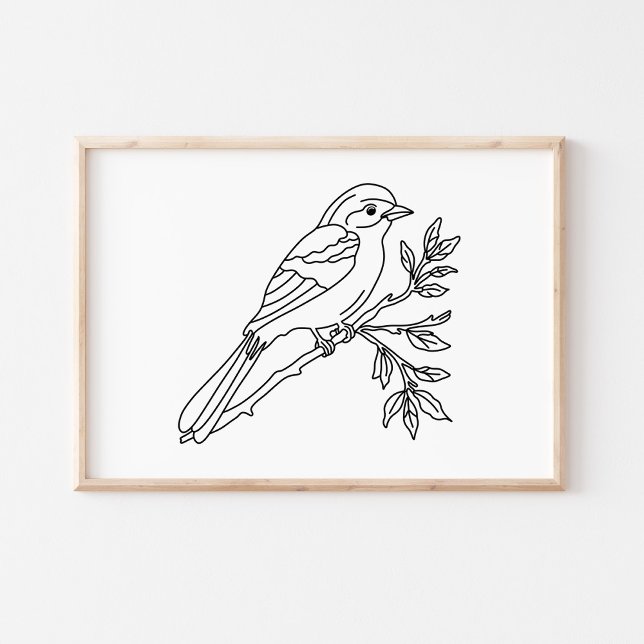 Póster Hand-Drawn Bird Illustration Art (Subido por el creador)