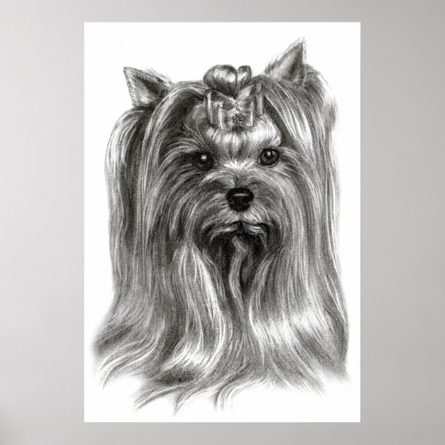 Póster Hand Drawn Yorkshire Terrier (Frente)