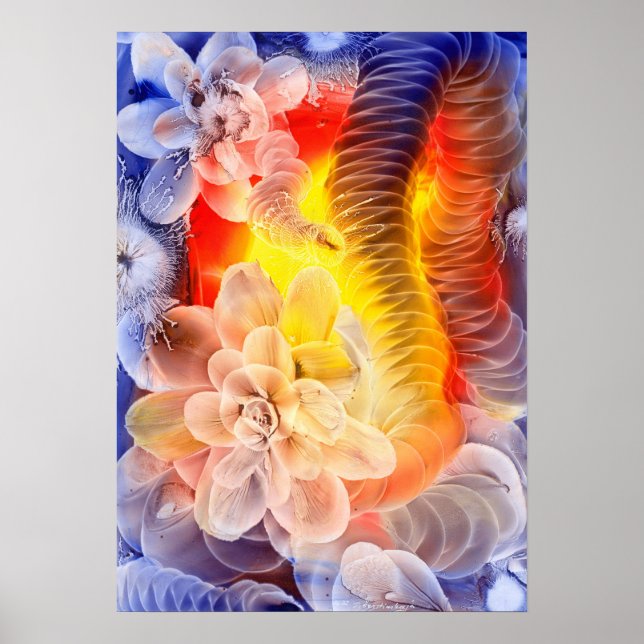 Póster Hand Painted Fantasy Floral Art Glowing Abstract (Frente)