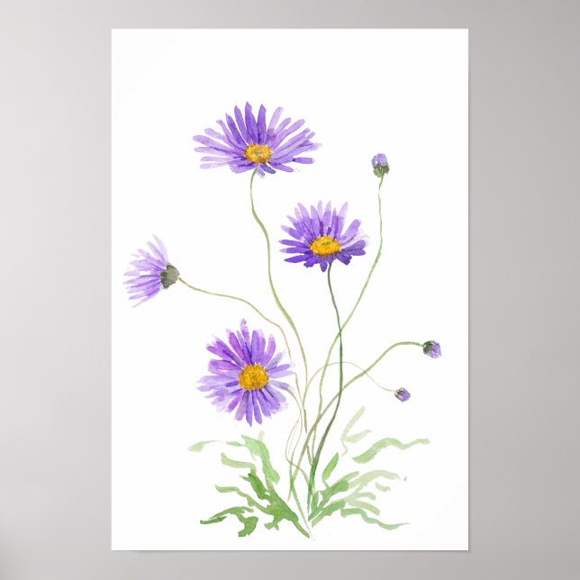 Póster hand painted purple daisy watercolour (Frente)