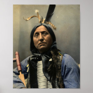 PÓSTER HANDSOME POSTER INDIO AMERICANO