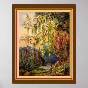 Póster "Hanging Bamboo of Sri Lanka", por Haeckel ca. 188