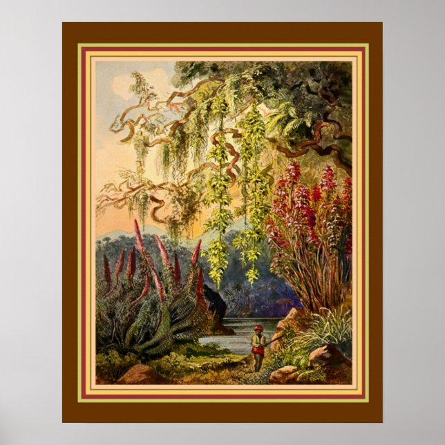 Póster "Hanging Bamboo of Sri Lanka", por Haeckel ca. 188 (Frente)