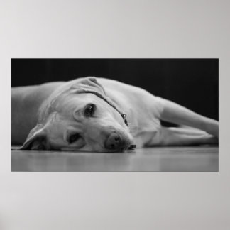 Póster Hank 'ONE' Canvas