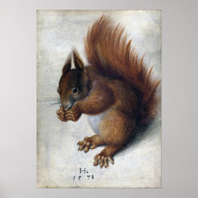 Póster Hans Hoffmann Red Squirrel (Frente)