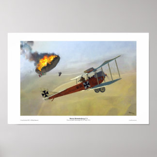 Póster Hansa-Brandenburg C.I