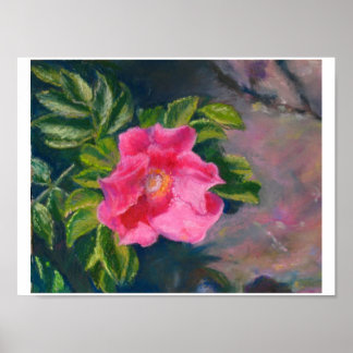 Póster Hansa Shore Rosa