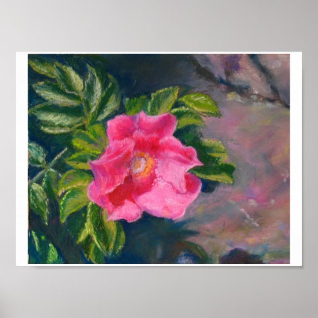 Póster Hansa Shore Rosa (Frente)