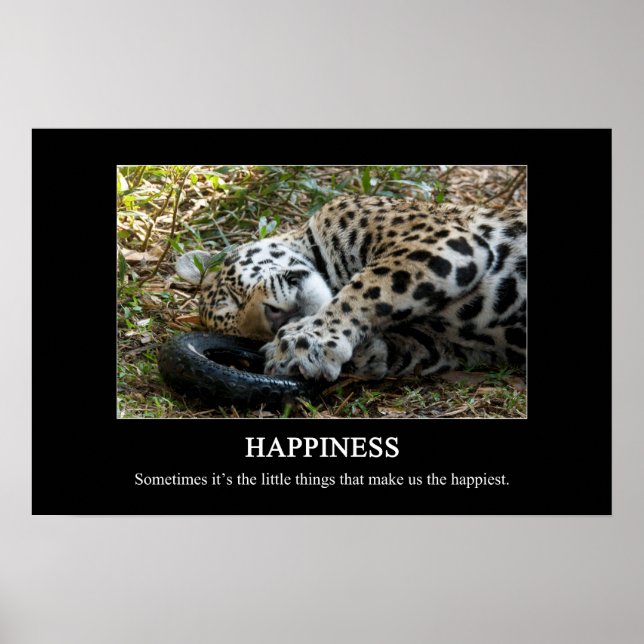 Póster Happiness Poster (Frente)