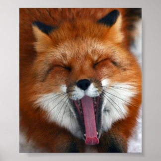Póster Happy Fox Wall Poster