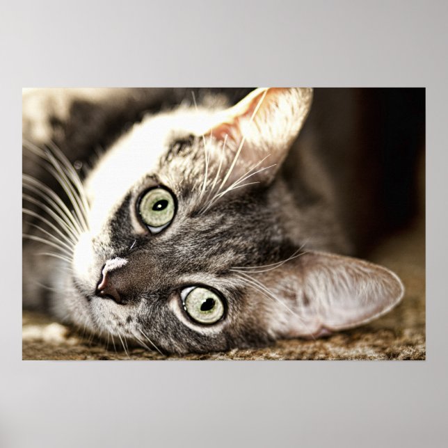 Póster Hard Day (Frente)