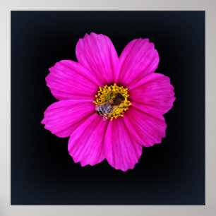 Póster hardworking bee