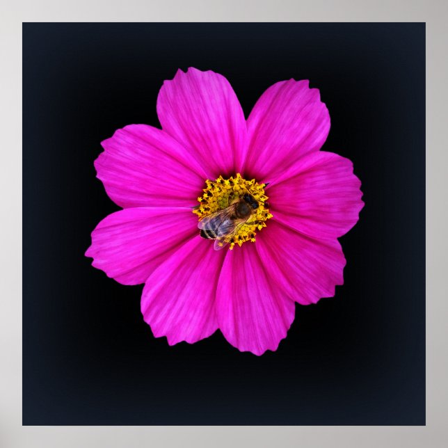 Póster hardworking bee (Frente)