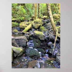 Póster Hardy Creek, Oregón