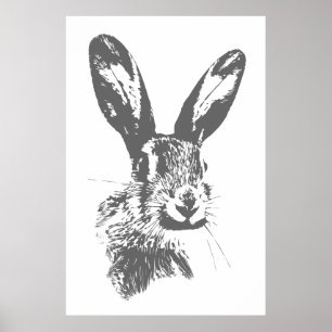 Póster Hare