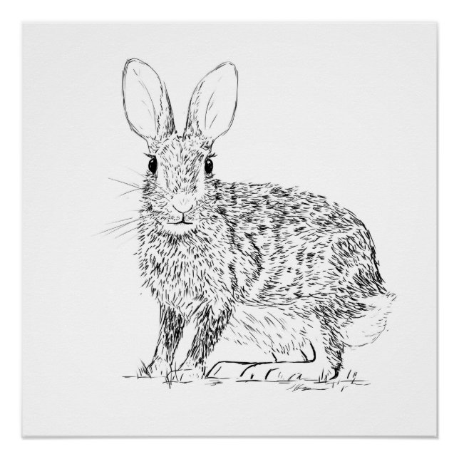 Póster Hare Monochrome Print (Anverso)