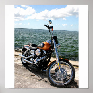 Póster Harley Pics 040