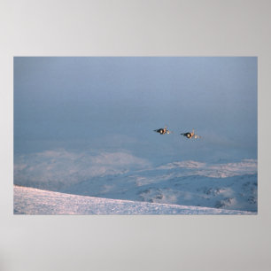 Póster Harrier Jump Jets