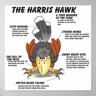 Póster Harris Hawk el dibujo animado