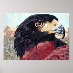 Póster Harris Hawk-textil