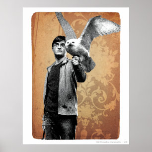 Póster Harry Potter 12