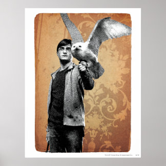 Póster Harry Potter 12