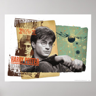 Póster Harry Potter 13
