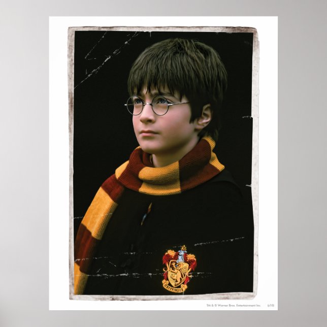 Póster Harry Potter 2 (Frente)