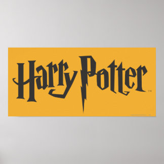 Póster Harry Potter 2