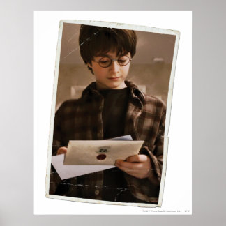 Póster Harry Potter 9